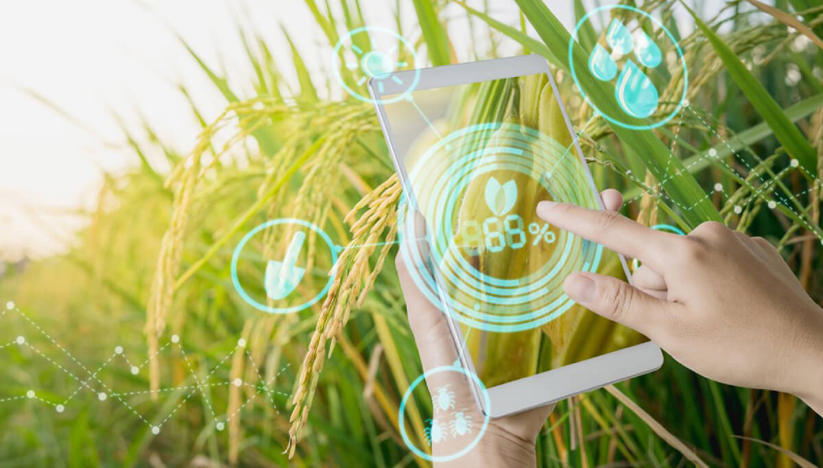 Çiftçi Destek Platformu