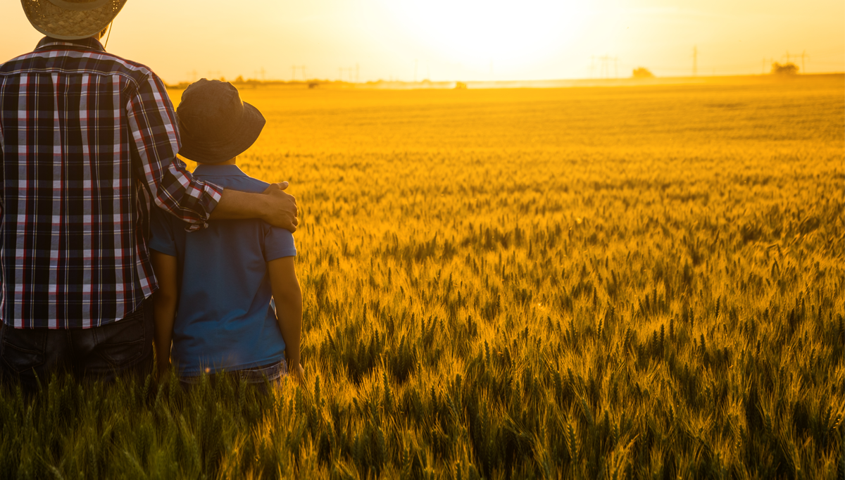 Tarımsal Faaliyetler